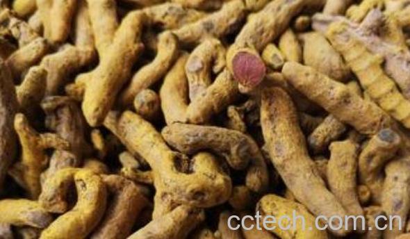 雪三七怎么吃 雪三七的食用方法-1