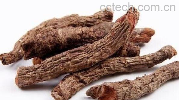 雪三七的功效与作用 雪三七的副作用-1