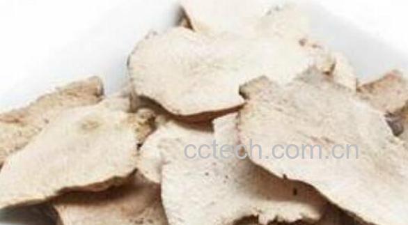 茯苓皮的功效与作用及药用价值-1