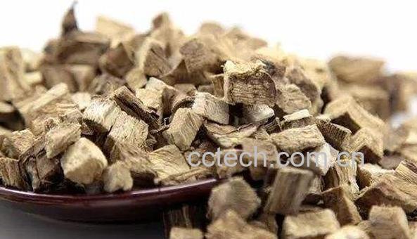 三根汤的功效和作用 三根汤的禁忌-1