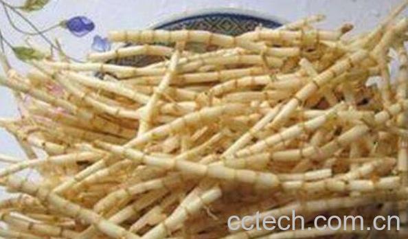 三根汤的功效和作用 三根汤的禁忌-0