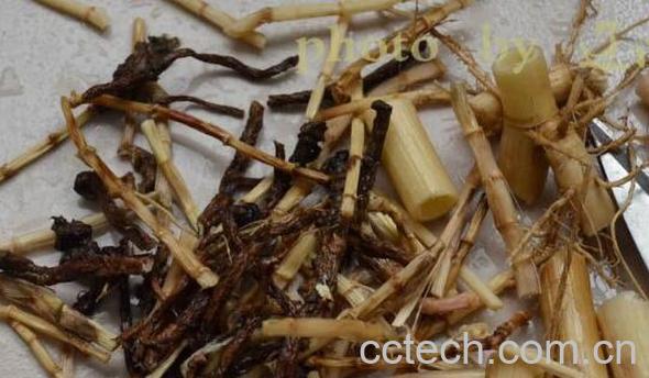 三根汤适合什么人喝 三根汤哪些人不能喝-1