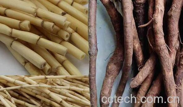 三根汤适合什么人喝 三根汤哪些人不能喝-0