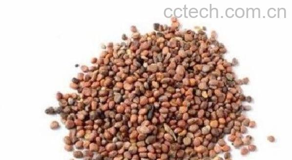 莱菔子生用和炒的区别 菜菔子的功效与作用-1