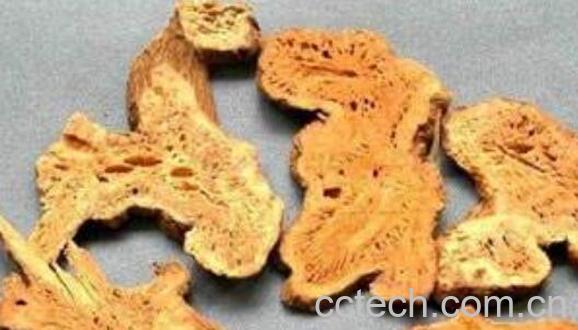 生苍术和炒苍术的区别 苍术的功效与作用-1