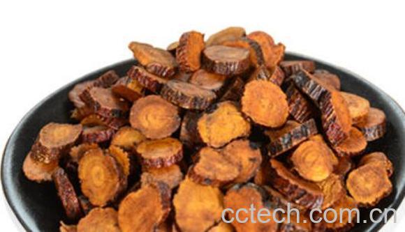 灸草的功效与作用-1