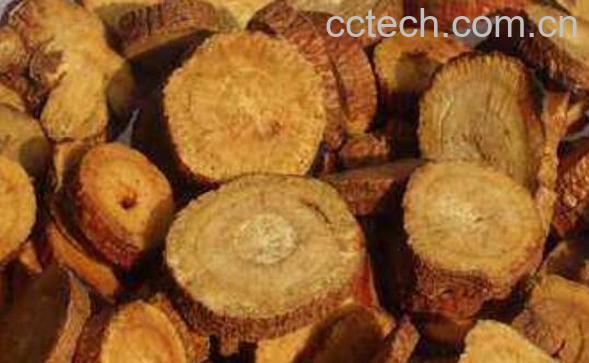 红甘草和甘草的区别 红甘草的功效与作用-1