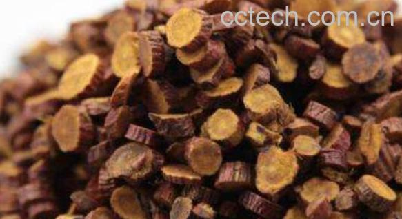 红甘草和甘草的区别 红甘草的功效与作用-0