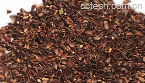 柏树籽装枕头有何害处 柏壳枕头副作用-0