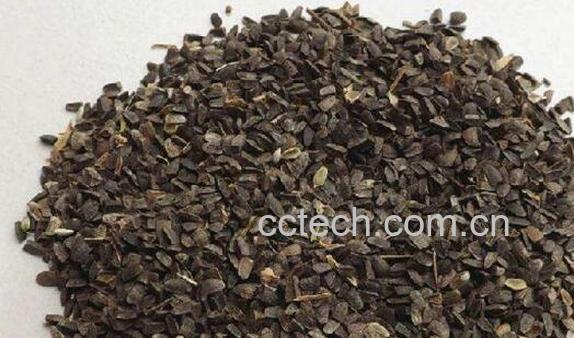 茺蔚子和益母草的区别 茺蔚子的功效与作用-1