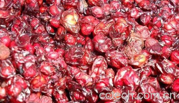 干五味子可以泡水喝吗 干五味子泡水的功效与禁忌-0