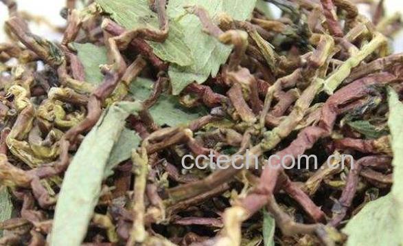 龙参青的功效与作用-0