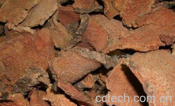 黄药子的功效与作用 黄药子的副作用-1