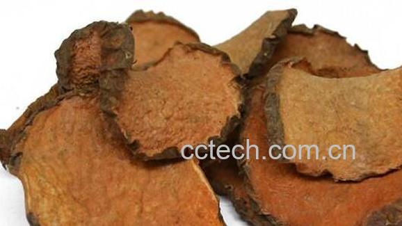 黄药子的功效与作用 黄药子的药用价值-0