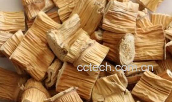 芦苇根泡水喝的功效 芦苇根泡水喝有什么危害-1