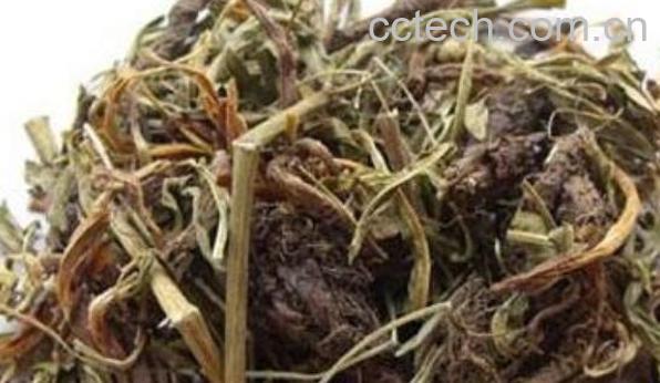 甘松的功效与作用 甘松的药用价值-0