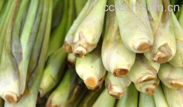 柠檬草的功效与作用 柠檬草的药用价值-0