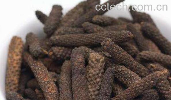 荜茇的功效与作用 荜茇的药用价值-0