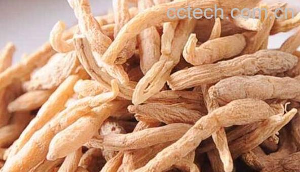 太子参的作用与功效 太子参的禁忌-0