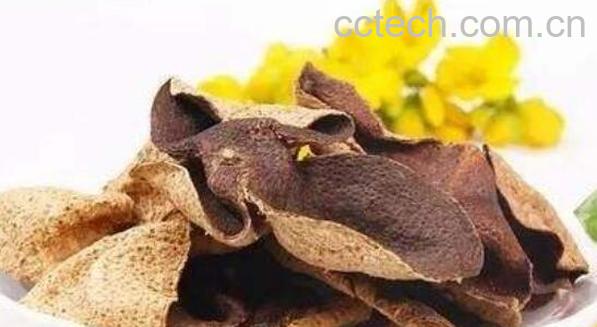 老柑皮的功效与作用-1