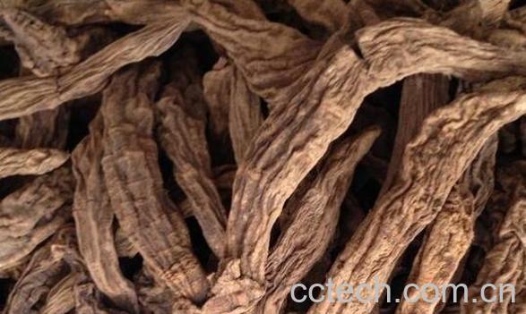 玄参的功效与作用 玄参的副作用-0