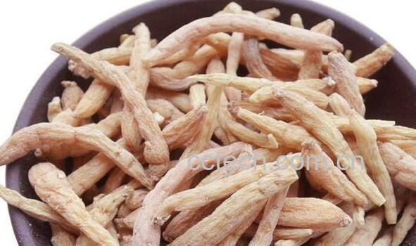 太子参的作用与功效 太子参的禁忌-1