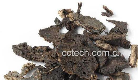 玄参的功效与作用 玄参的副作用-1