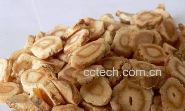 北沙参的功效与作用 吃北沙参的好处-0