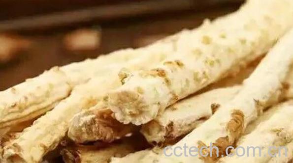 北沙参的功效与作用 吃北沙参的好处-1