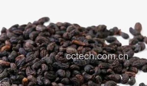 酒五味子功效与作用及禁忌-0