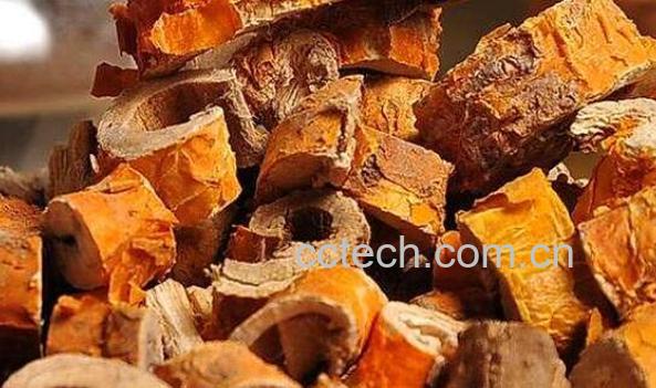 桑白皮的功效与作用有哪些-1