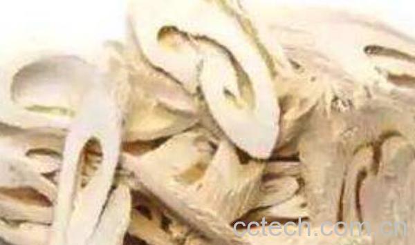 桑树根皮煮水的作用 桑树皮怎么煮水 -1