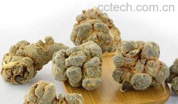 文山三七的功效与作用及药用价值-1