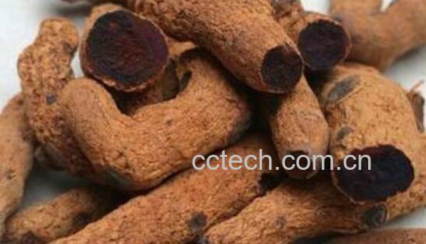 雪三七和三七的差别-0