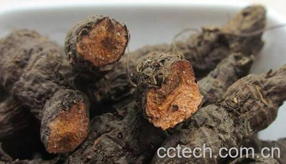 血三七怎么煎 血三七如何炖-0