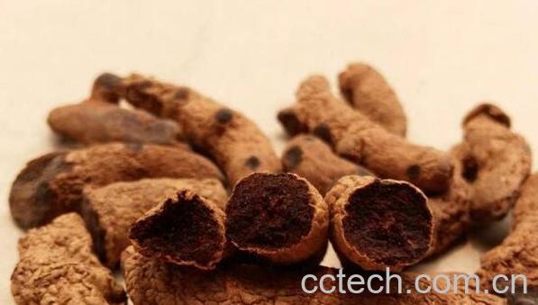 血三七的功效与作用 血三七的药用价值-1