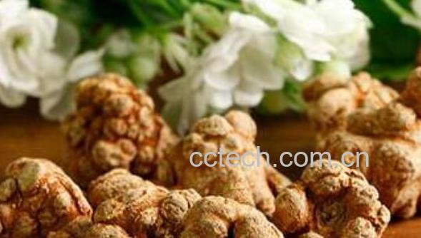 野三七的功效与作用 野三七的药用价值-0