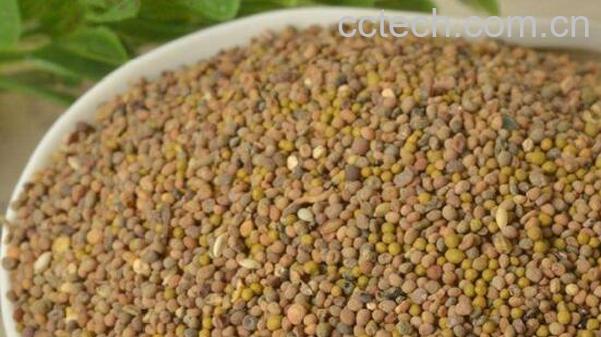 菟丝子的功效与作用 菟丝子的副作用-0