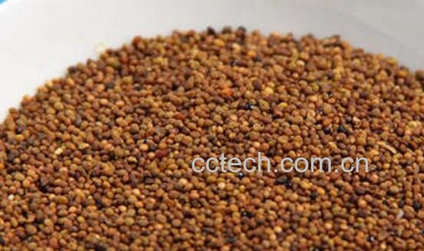 |丝子如何泡水 菟丝子泡水喝的功效-0