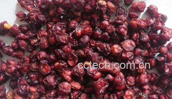 五味子的功效与作用 吃五味子的好处-0