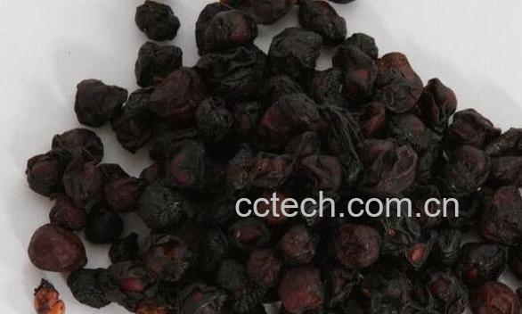 黑五味子的功效与作用-0
