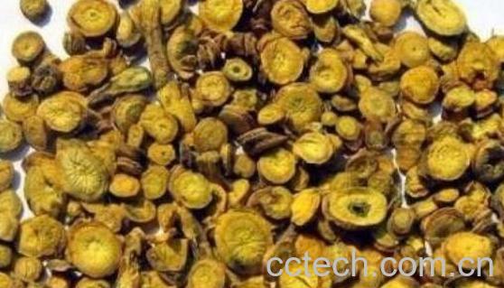 老水刺的功效与作用-1