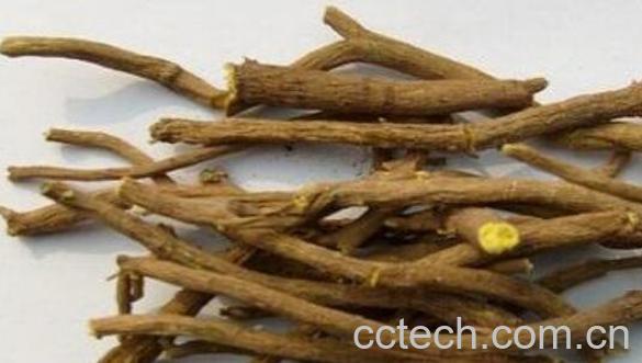 老水刺的功效与作用-0