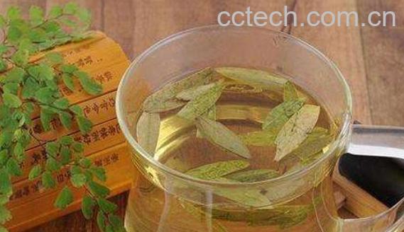 番泻叶怎么吃 番泻叶的正确服用方法-0