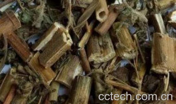 g莶草的功效与作用 g莶草的副作用-0