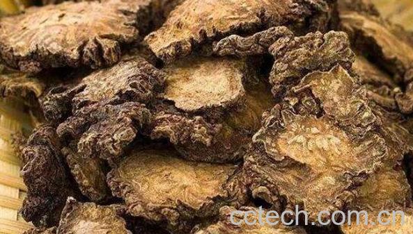 川芎怎么泡水喝 川芎泡水喝的功效-1