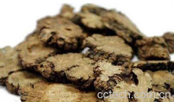 川芎怎么泡水喝 川芎泡水喝的功效-0