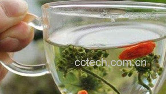人参花怎么泡水喝正确 人参花泡水喝的禁忌-1