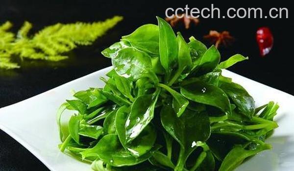三七叶怎么吃 三七叶的吃法教程-0