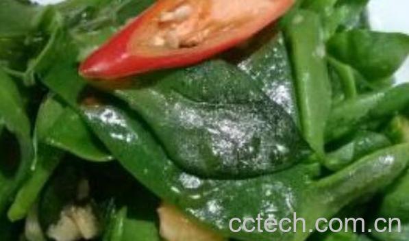 三七叶怎么吃 三七叶的吃法教程-1